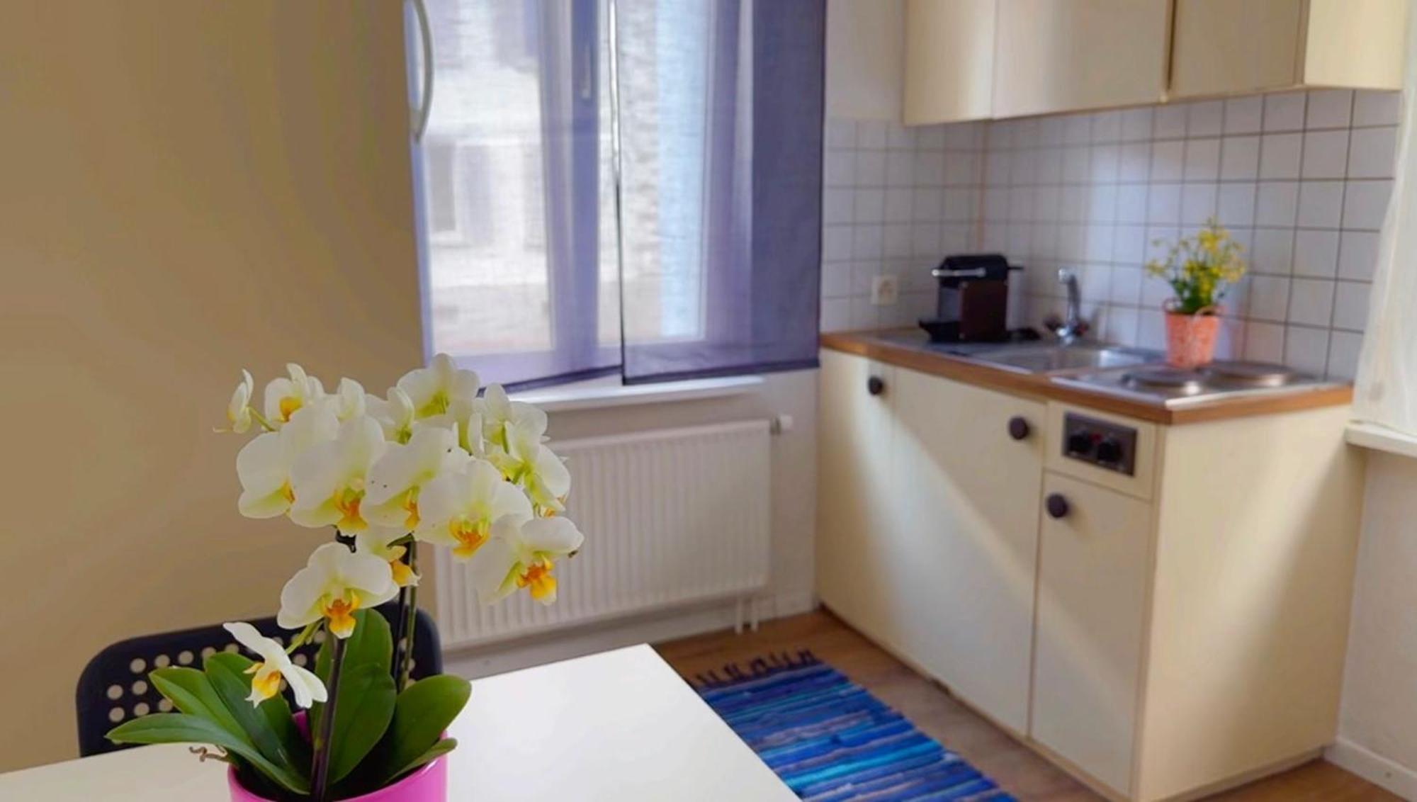 Apartamento Grandhouse Center Of Switzerland Olten Exterior foto