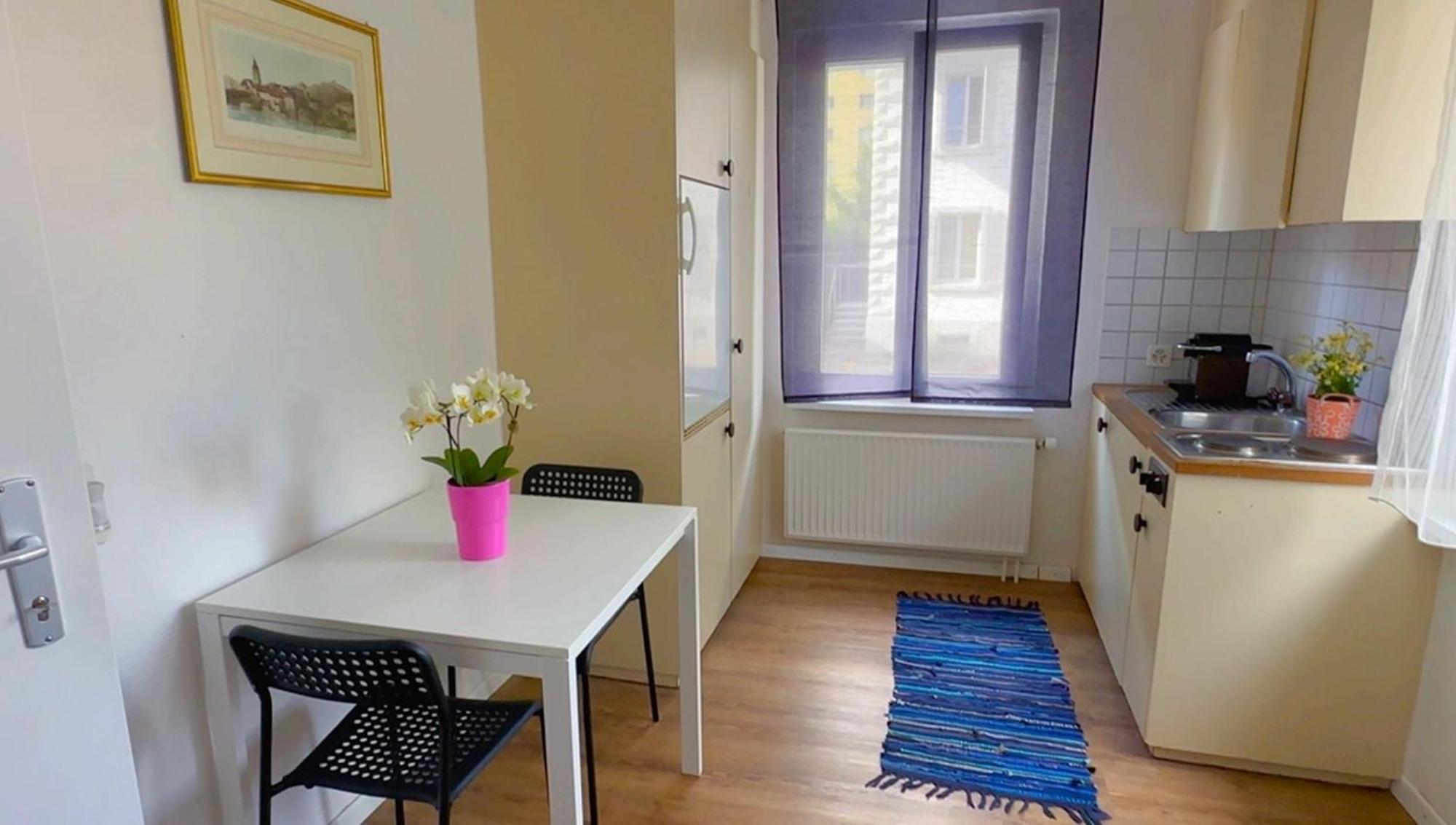 Apartamento Grandhouse Center Of Switzerland Olten Exterior foto
